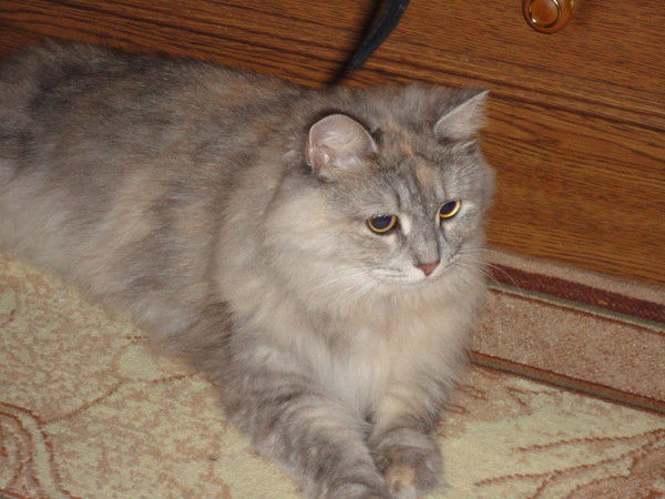 Ольга Еремина