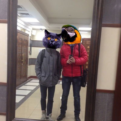 Владислав Окул