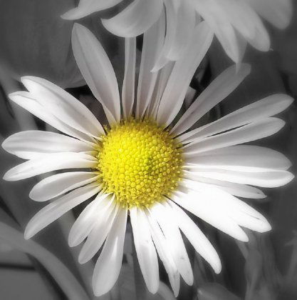 Айданова Лилия