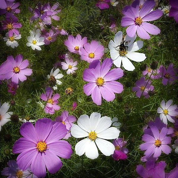 Жанаргул Еспусинова