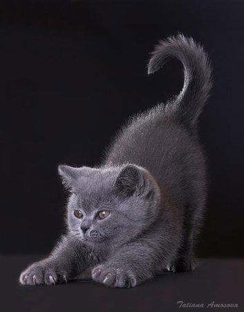 Юлия Ибрагимова