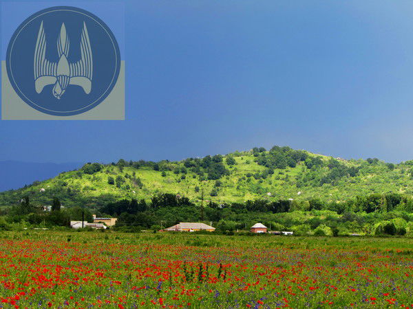 Андрей Бурячок