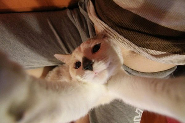 Любовь Афонина