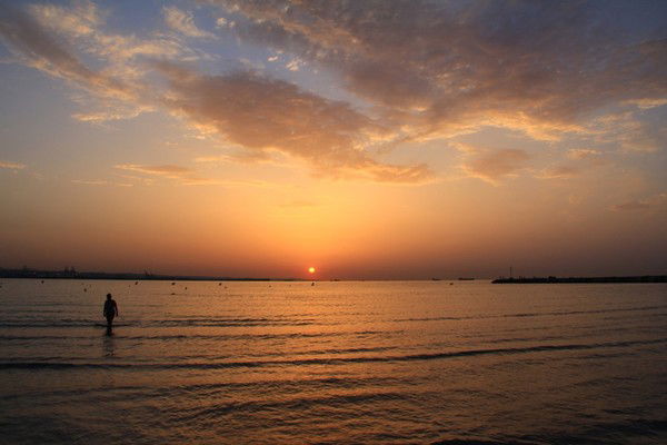 Клара 355306246