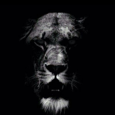 Георгий Казаков