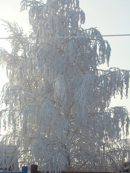 Ирина Киселева