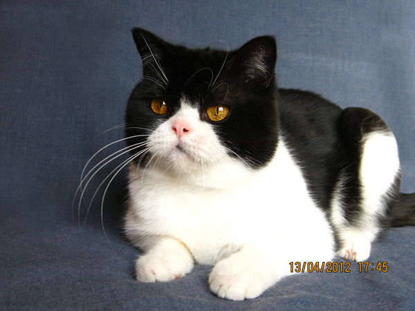 Наталья Морозова