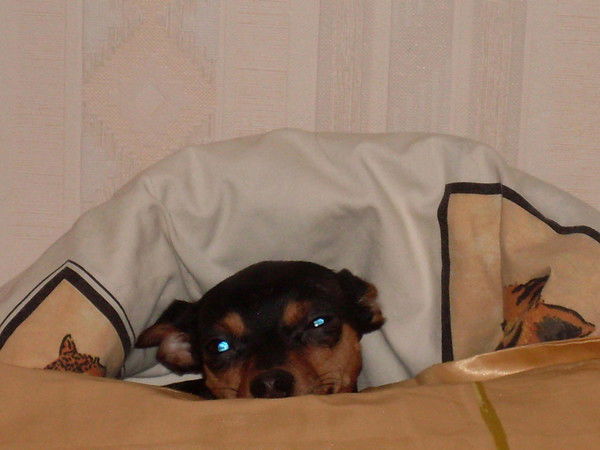 Евгения Токранова