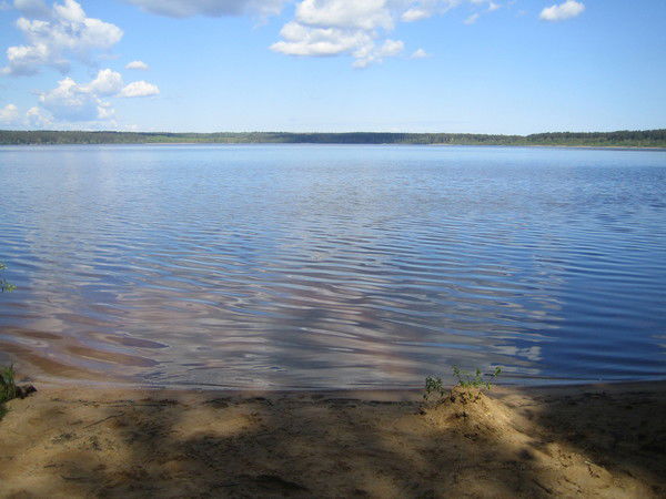 Сергей Осипов