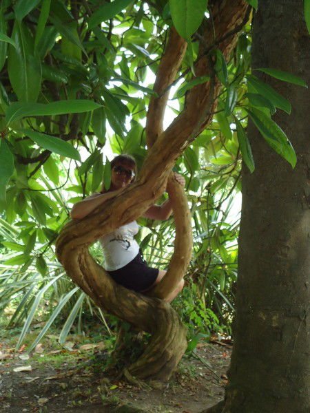 Алена Кашанян