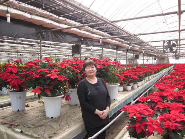 Алла Ходжер