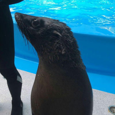 Индира Марасулова