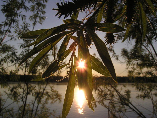 Eлена Казакова