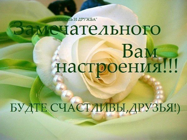 Наталья Агибалова