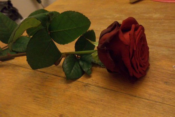 Наталья Воронова