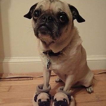 Наталья Глушкова