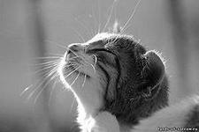 Екатерина Гусарова