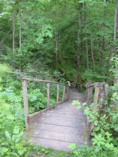 Алексей Алексеев