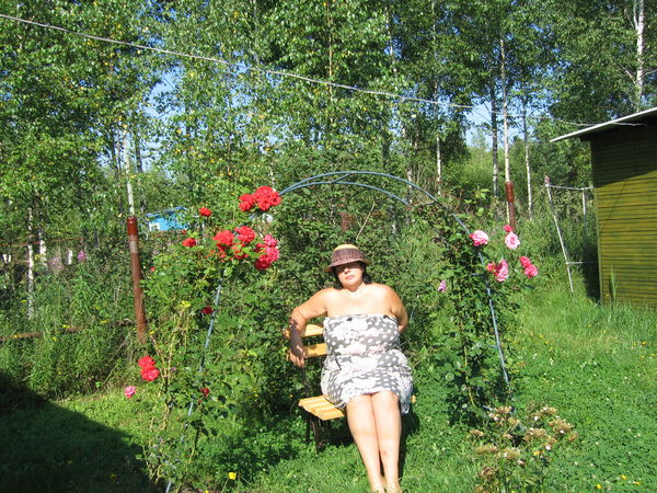 Елена Вселенная