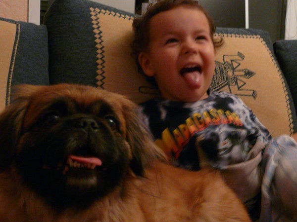 Кролик Кролик