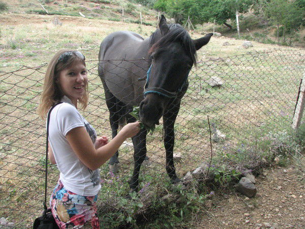 Алла Вишник