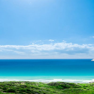 Коля Басенко