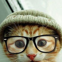 Илья Белозерцев