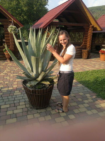 Татьяна Дашевская