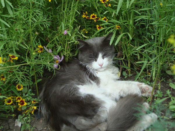 Наталия Денисенко