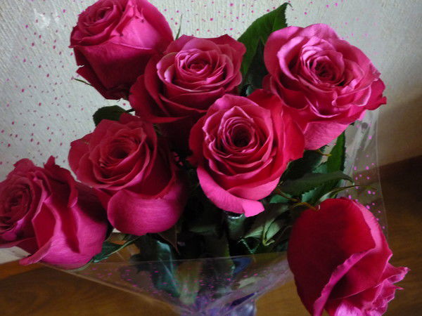 Ирина Тюгаева