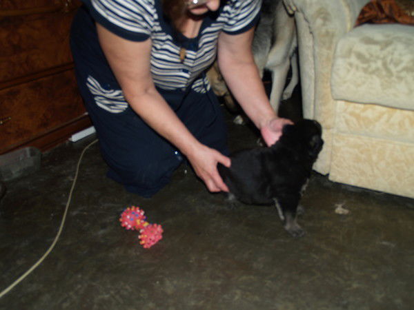 Герасимова Галина