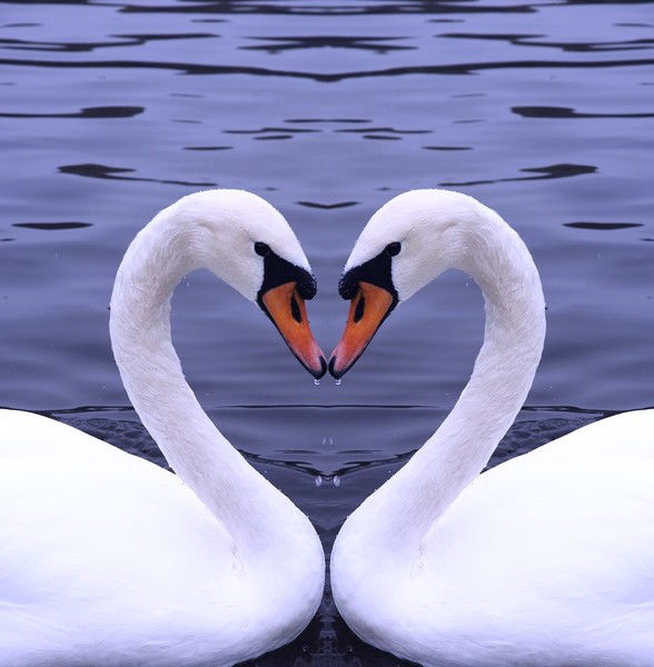 Лариса Воронько (Рыжкова)