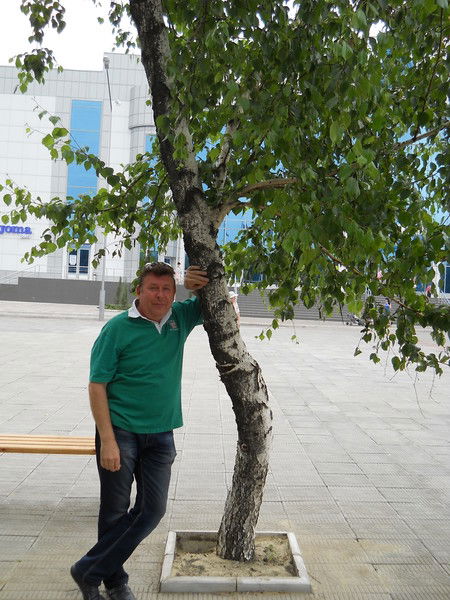 Михаил Сердюков