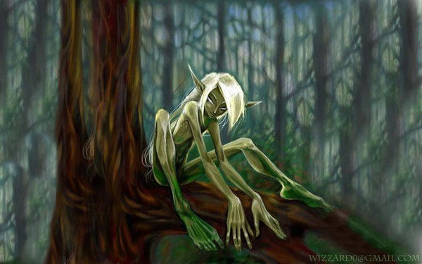 Ежика Вераника