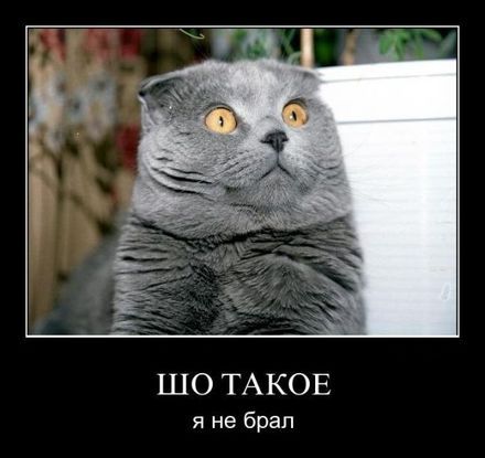 Виталий Рябый