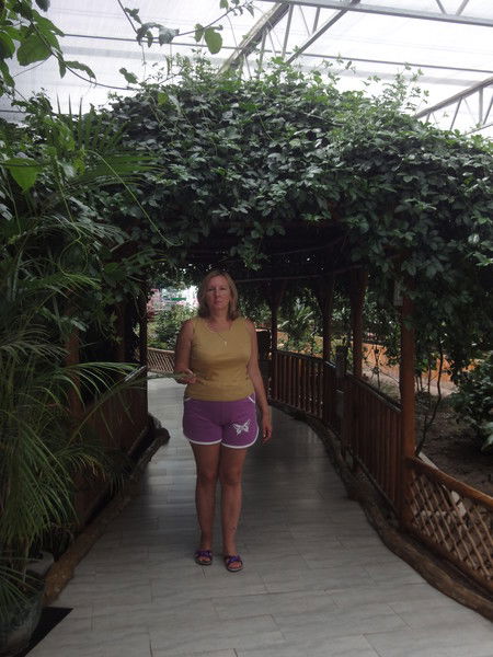 Елена Галденкова