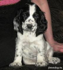 Лена Березина (Журавлева)