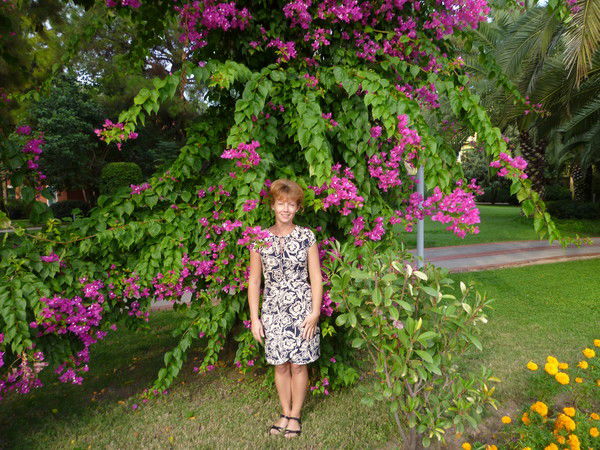 Наталья Шишкина