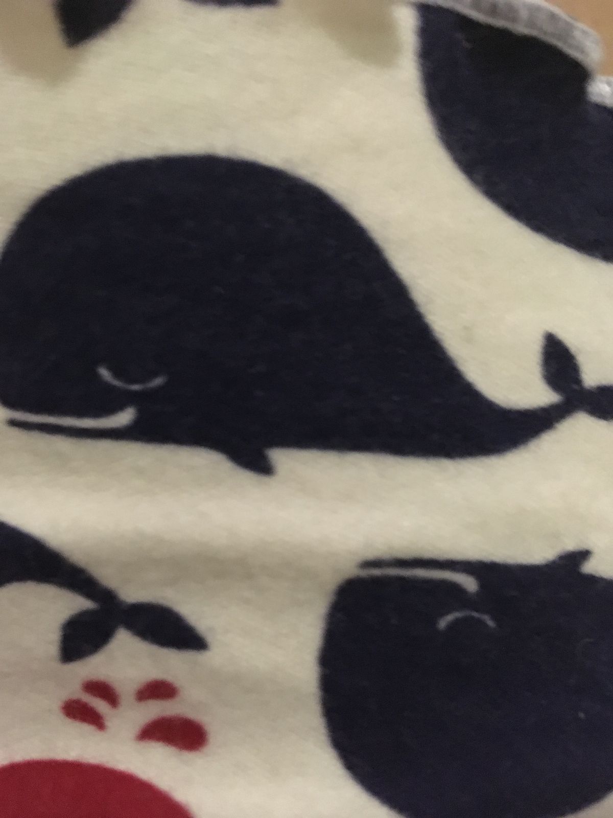 Маша Петрова