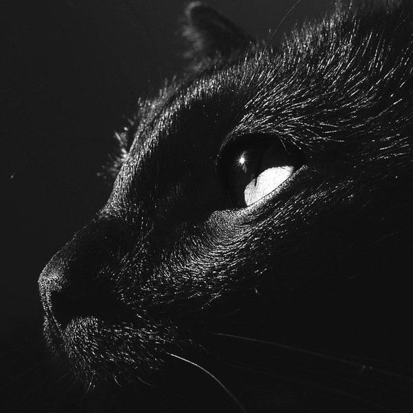 Юлия Попова