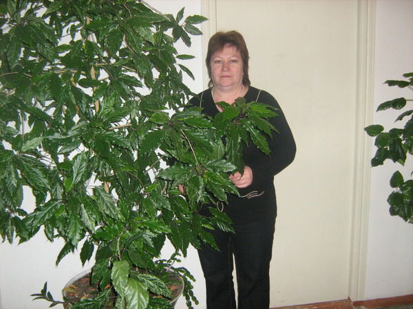 Ирина Епифанова