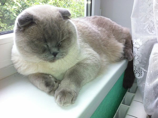 Валентина Бородина