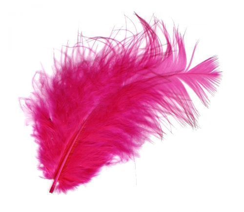 Анна Алексеева