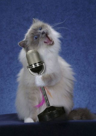 Ольга Евдокимова