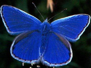 Мадина Дюсебаева