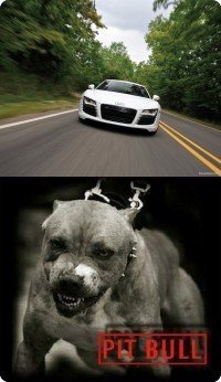 Артем Доянов