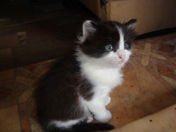 Наташа Падашуля