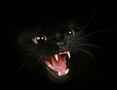 Вадим Войнов