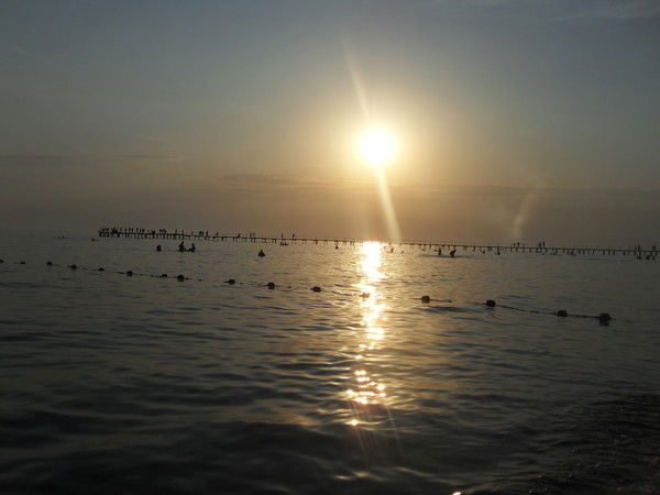 Светлана Хохрякова