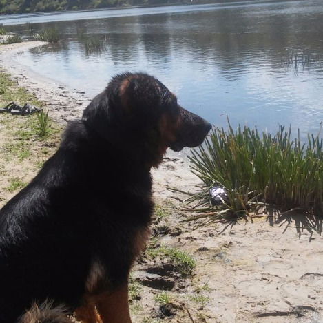 Олег Гайдай